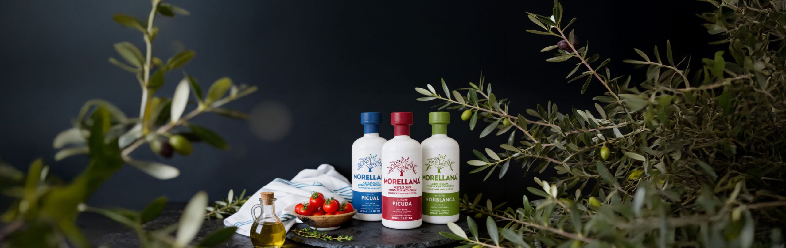 Aceite_Oliva_Morellana_banner